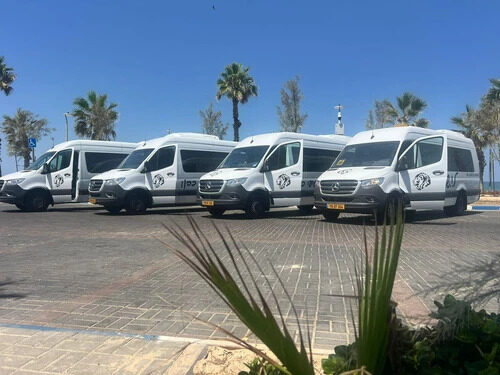 איך לתכנן הסעות טיולים לים המלח בלי טעויות מיותרות בדרך